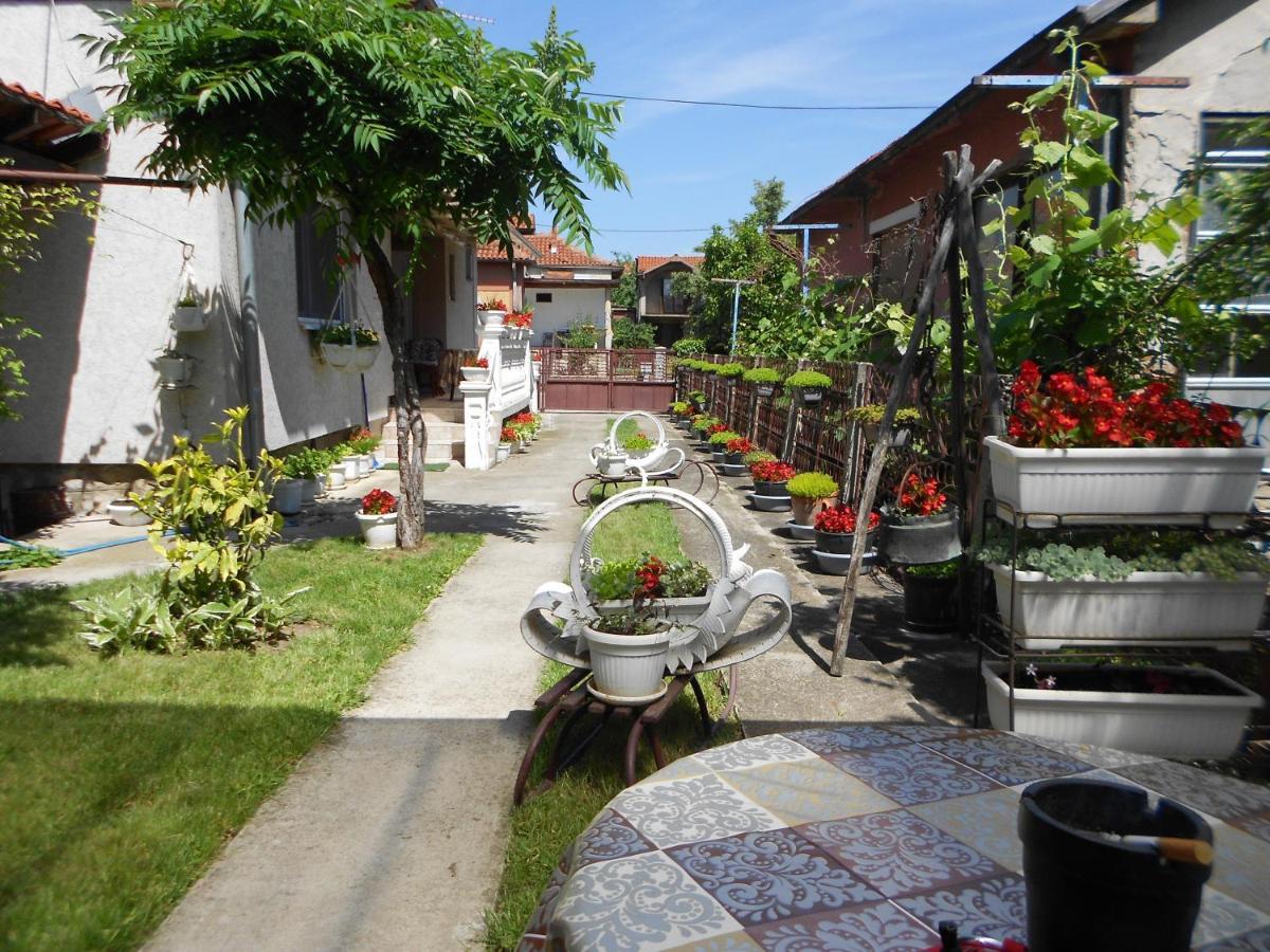 Apartman "Dom Stankovica" Pirot Eksteriør bilde