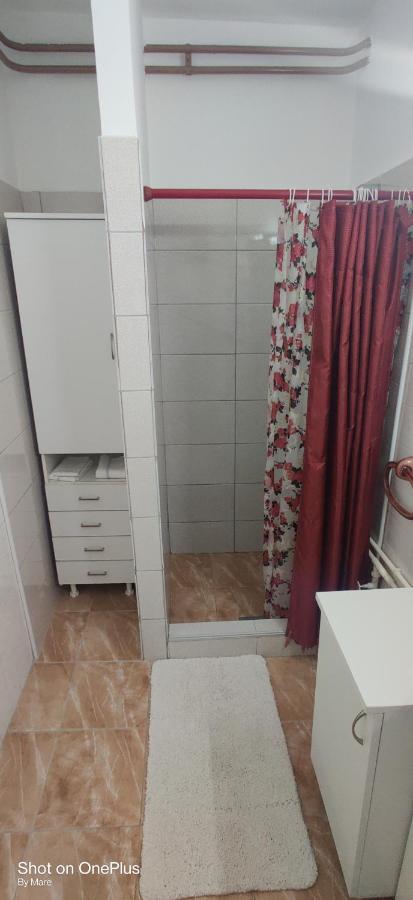 Apartman "Dom Stankovica" Pirot Eksteriør bilde